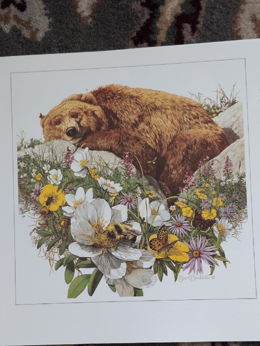 Assorted Art Books - Picture 5 of 8